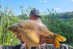 Łowisko Klasztorne - karp 21